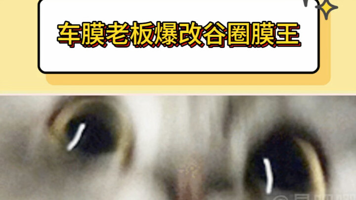 The car film business owner gradually transforms step by step.