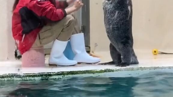 น่ารักๆ