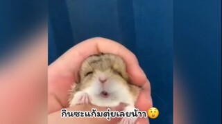 หนุบหนับเชียวว