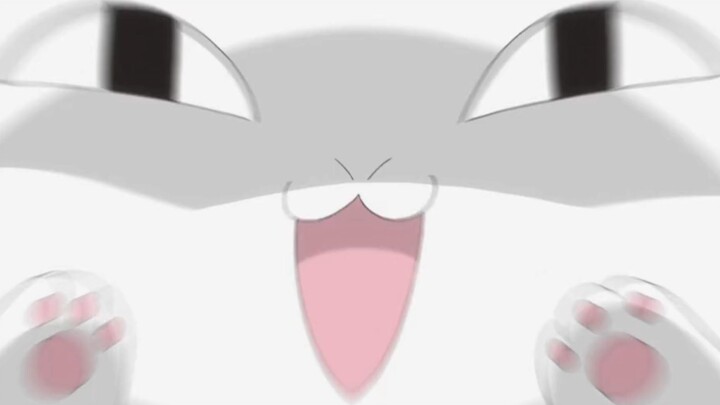 The cute cat teacher rushed out and filled the screen