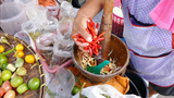Đặc sản Thái Lan - Gỏi cua sống - Đồ ăn đường phố Thái Lan | Street Food