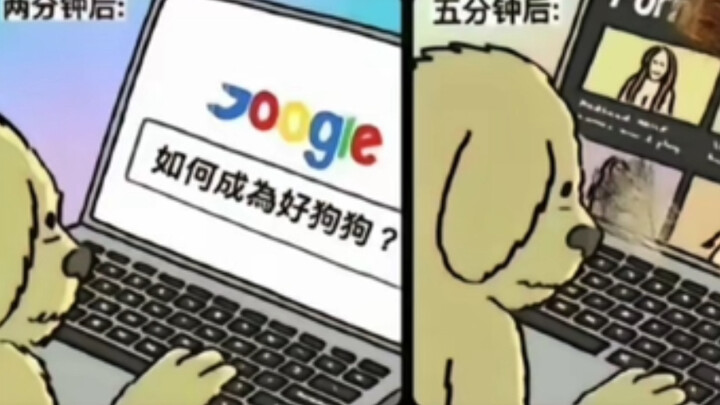 Silly meme images | How to be a good dog