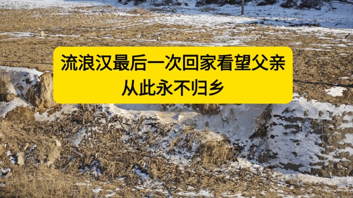 流浪汉最后一次回自己的故乡看望父亲，从此永不回乡