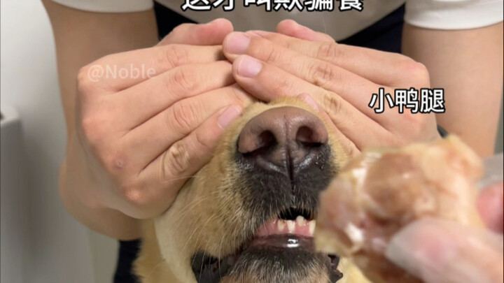 欺骗餐的正确打开方式～