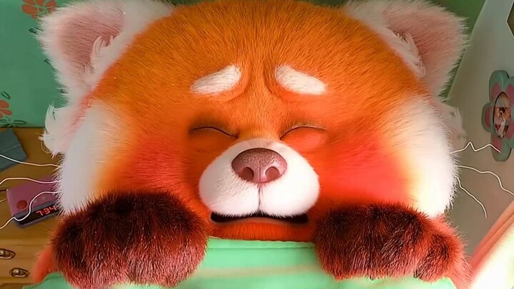 Ketika gadis keturunan Tionghoa mengalami fluktuasi emosi, ia berubah menjadi panda merah. Bagaimana