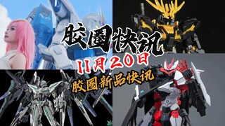 【11月20日胶圈快讯】
