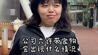 我只是想安安静静的工作….