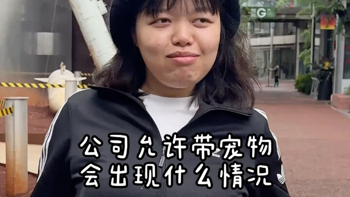 我只是想安安静静的工作….