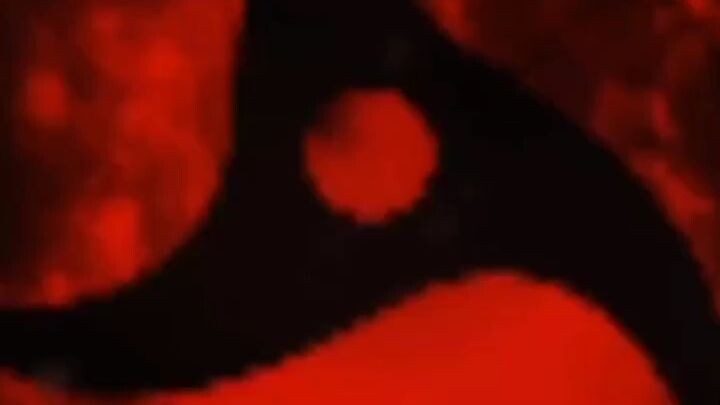 kalo gk jago gk usah maju