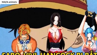 Hành động của Luffy khi Sabo, Vivi và Hancock gặp nạn __ Giả Thuyết __ 1