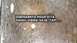 🤭🤭🤭 ibu ,,ibu ,,ibu,,