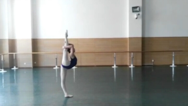 "Skill Combo"        A Rookie in My Sophomore Year