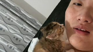 It's really a cat ergonomic face