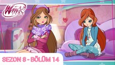 Winx Club - Sezon 8 Bölüm 14 - Dilek Yıldızı