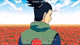 the anime
