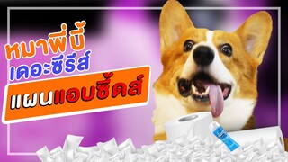 หมาพี่บี้เดอะซีรีส์ ตอน แผนแอบซี้ดส์ l สัตว์เอ๋ย