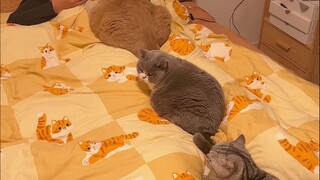 Kecemburuan membuat wajahku berubah total