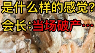 Bagaimana rasanya memasak untuk lebih dari 100 ekor anjing?