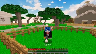 PHONG CẬN BỊ LỜI NGUYỀN PHÙ THỦY HÓA THÀNH HOÀNG TỬ HEO MẬP VÀ ĐƯỢC CÔNG CHÚA SA