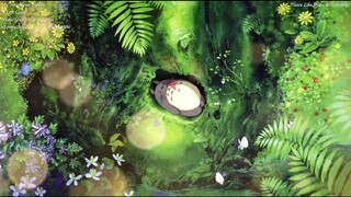 Tonari No Totoro Maigo Music Box A Lost Child Studio Ghibli Joe Hisaishi　まいご となりのトトロ スタジオジブリ 久石譲🎵