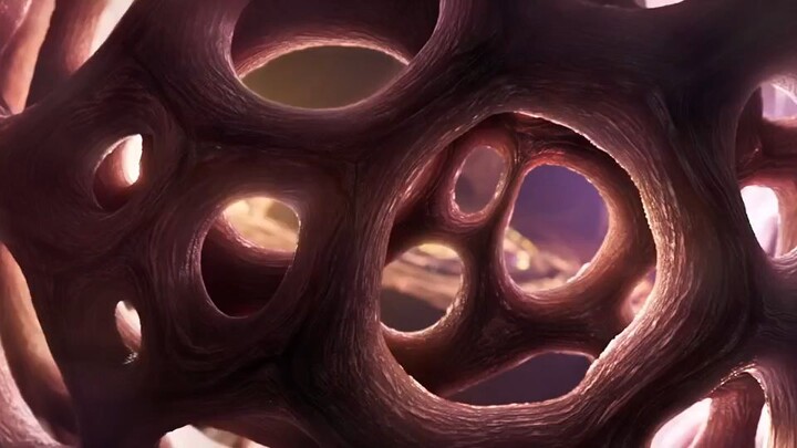 episode terakhir ling cage season 2 subindo