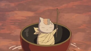 猫咪老师：都怪我长着这么可爱的肉球