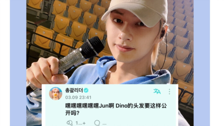 Hahaha, Wenjun the cat accidentally revealed Dino’s new hair color and got caught by the captain!