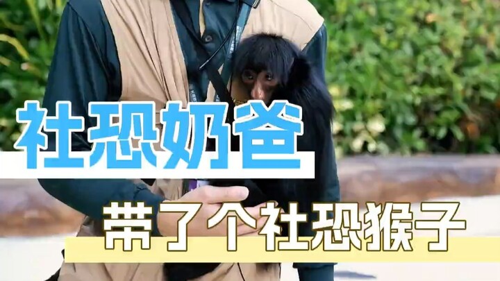 This time I really want to go see people... oh wait, I mean monkeys!