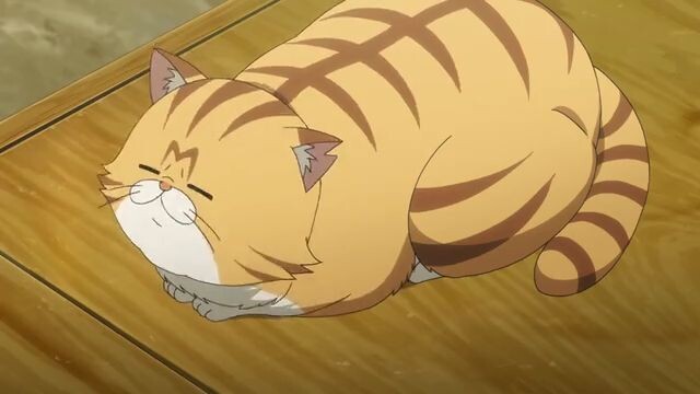 Hinomaru sumo episode 05 sub indo