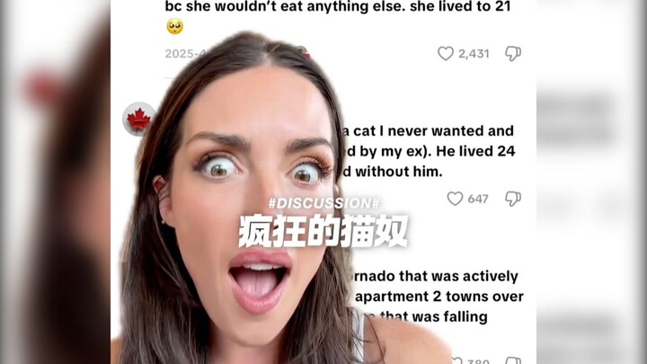 Crazy Cat Slave