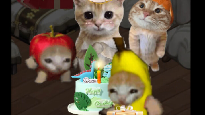 Món quà sinh nhật Banana Cat dành tặng cho búp bê Đồ