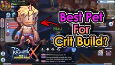 [ROX] Why Dokebi Is The Perfect Pet For CRIT Build | King Spade