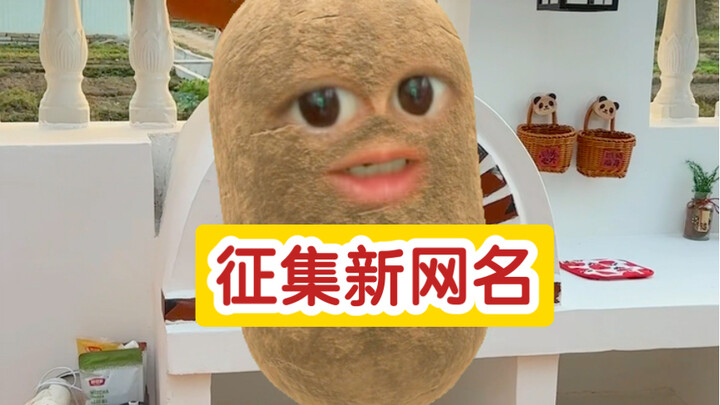 Masuk untuk pilih nama!! Mengajak seluruh dunia ikut berpartisipasi dalam pemilihan nama online baru