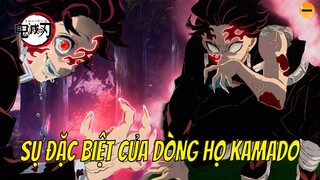 Bí Ẩn Con Quỷ Mặt Trời Và Tân Quỷ Vương Tanjiro | Kimetsu 201