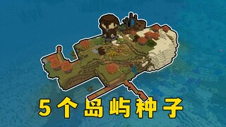 我的世界：5个开局岛屿种子，非常适合隐居！