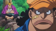 KUROHIGE adalah mantan SARJANA OHARA seperti NICO ROBIN? - One Piece Short