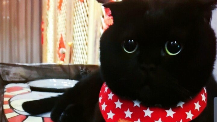 เซี่ยนซื่อซื่ออารมณ์ดีมากเลยนะ!