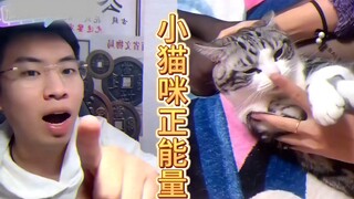 一直看小猫咪的 是这个〔大拇指〕