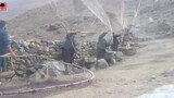 Chim sẻ đang quá đông đúc ở Afghanistan, nông dân khốn khổ, họ sử dụng những tấm lưới thô sơ nhất để