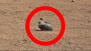 Som ET - 58 - Mars - Curiosity Sol 3730 - Video 1