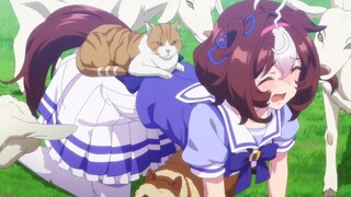 Uma Musume: Pretty Derby is another cultural festival, the old ones are replaced by the new ones, I 