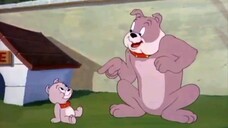 Tom and Jerry tập 76 - 80