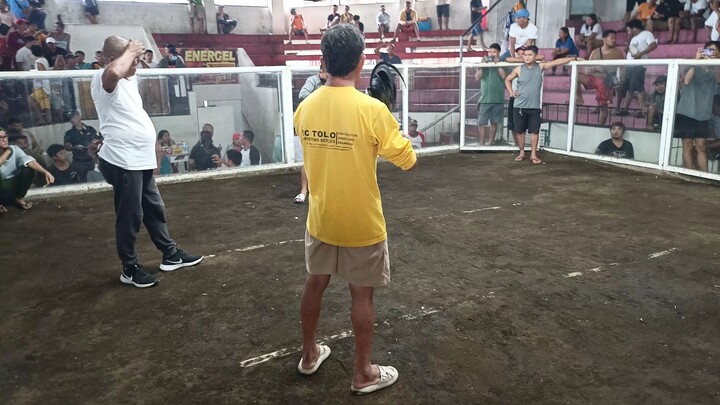 4x winner