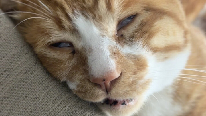 I don’t know—when I came back from wandering, I was already like this.