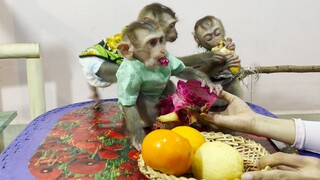 Sweet and yummy fruits for the three monkeys