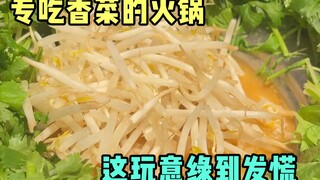 Authentic coriander hotpot, is there really anyone who hates coriander?