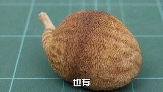 "Wonderful Figure" giới hạn mùa hè 2021!