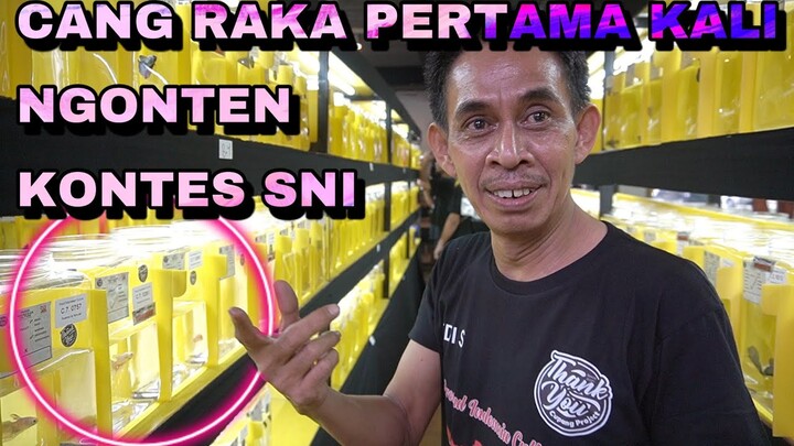 PERTAMA KALI CANG RAKA LIPUT KONTES SNI ????