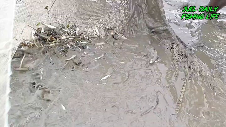 Watch Panchmishali fishing in the river with a net. Fishing video. 观看潘奇米沙利在河里用网捕鱼的视频。