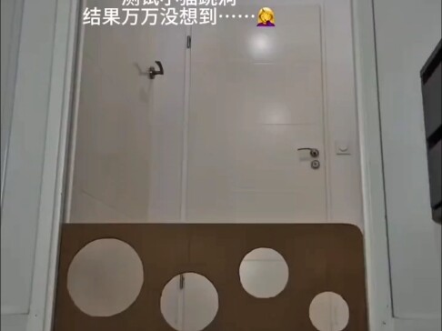 The kitten that keeps fixing bugs